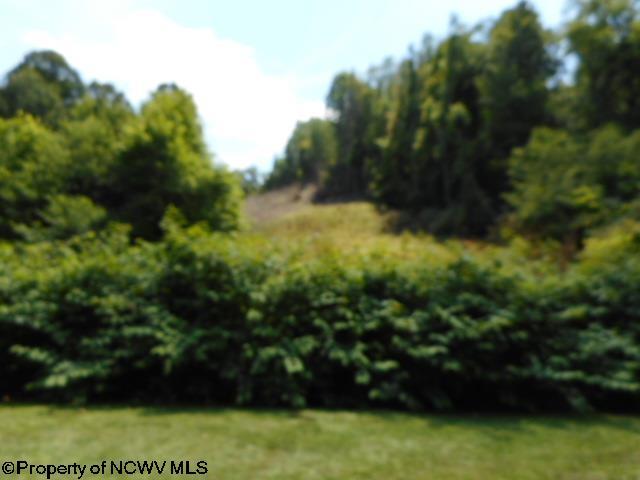 63 Georgetown Rd, Horner WV, 26372 land for sale