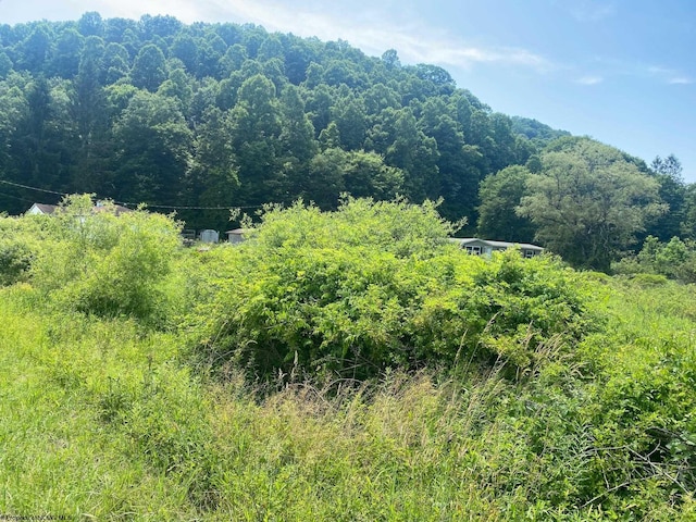 Listing photo 3 for TBD Grass Lick Run, Montrose WV 26283