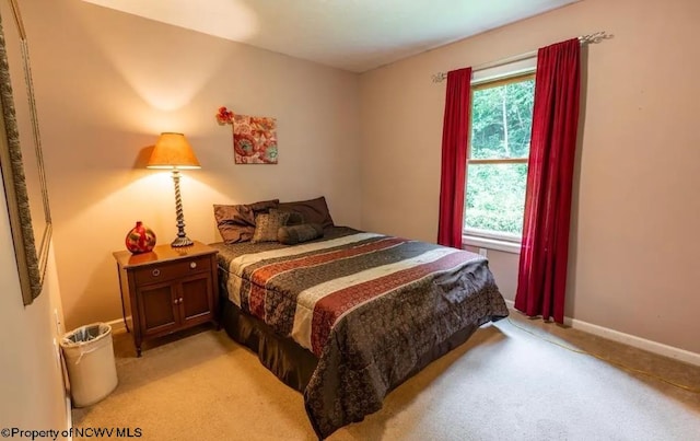 carpeted bedroom with multiple windows