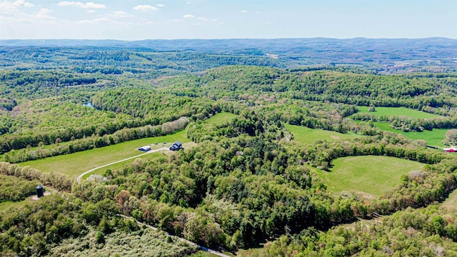 000 Hilltop Dr, Bruceton Mills WV, 26525 land for sale