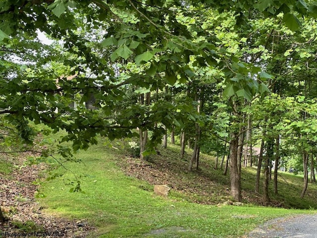 184 Rugh Ln, Morgantown, WV 26508