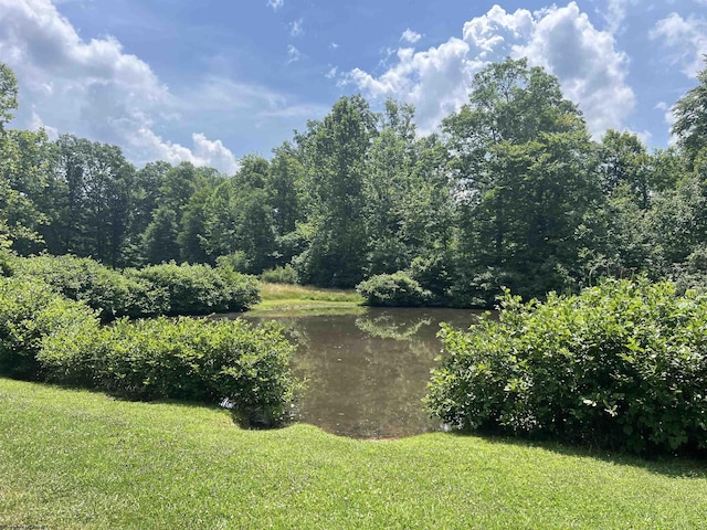 view of yard featuring a water view