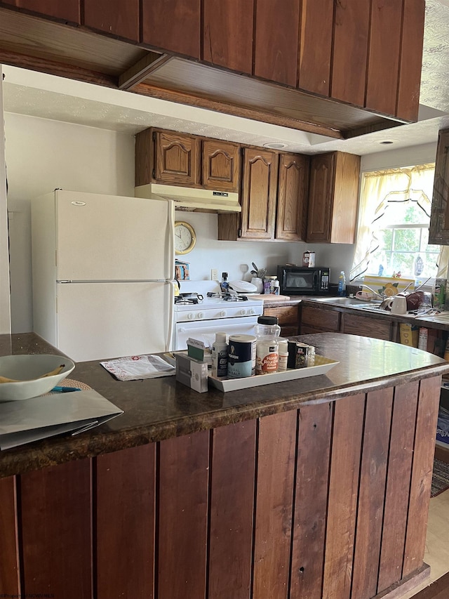 kitchen with white appliances and sink