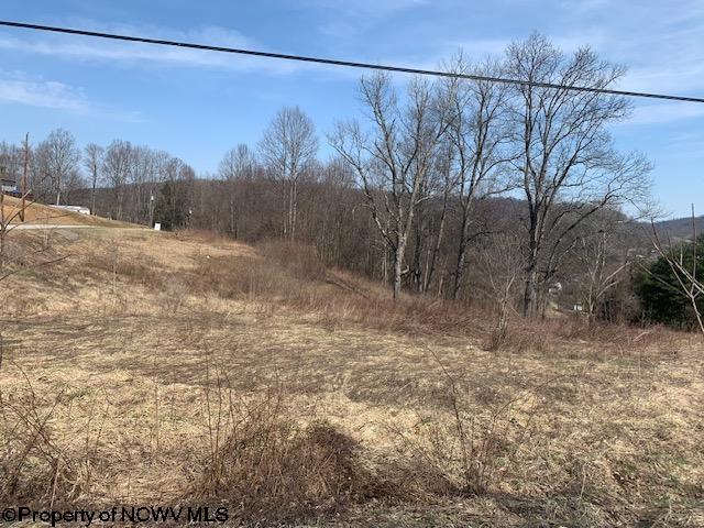 TBD Rohrbough St, Belington WV, 26250 land for sale