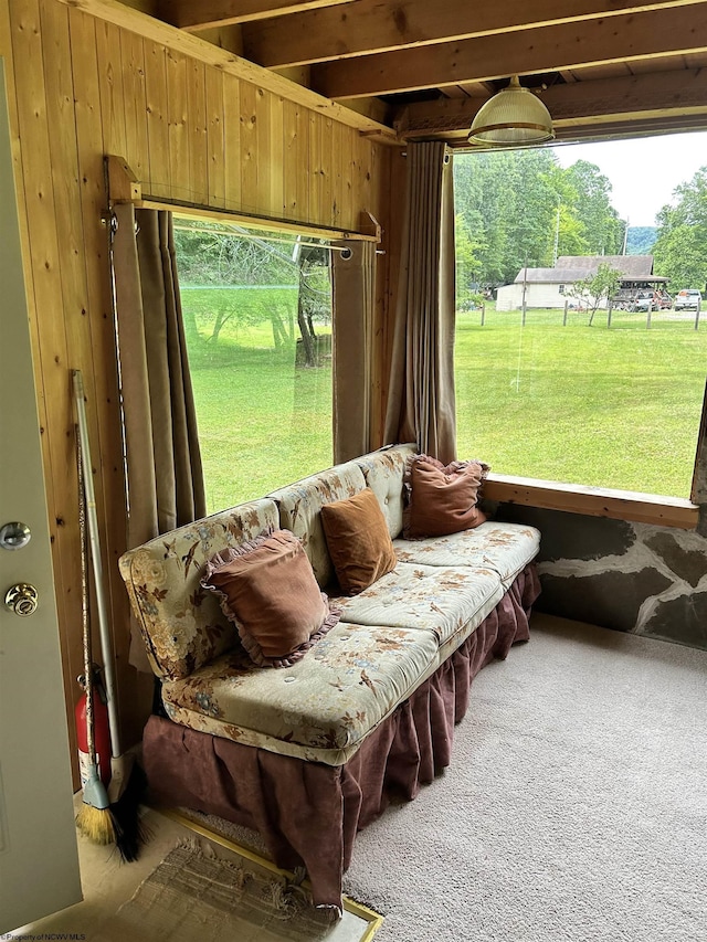 sunroom / solarium featuring a healthy amount of sunlight