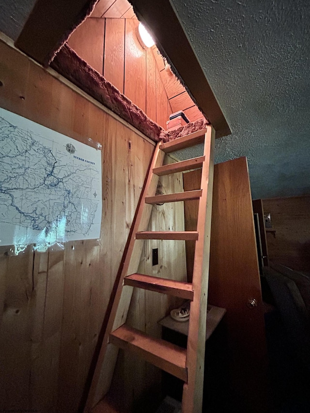 basement featuring wood walls