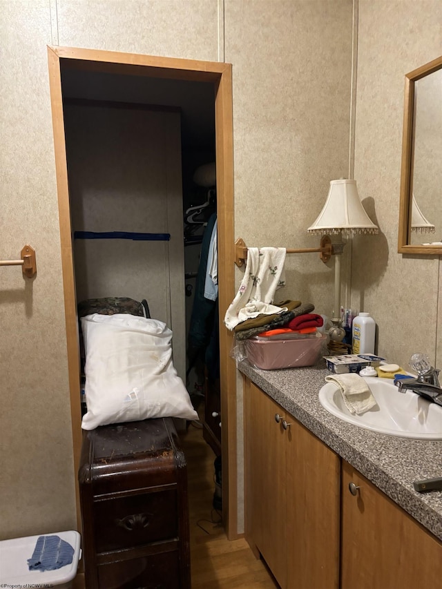 bathroom featuring hardwood / wood-style floors and vanity