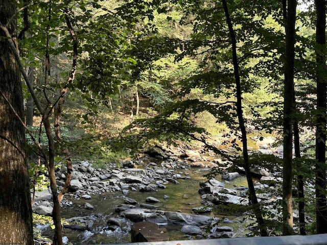 view of local wilderness