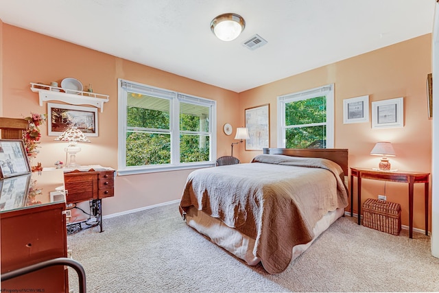 bedroom with carpet floors