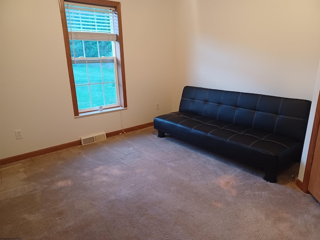 sitting room with carpet flooring