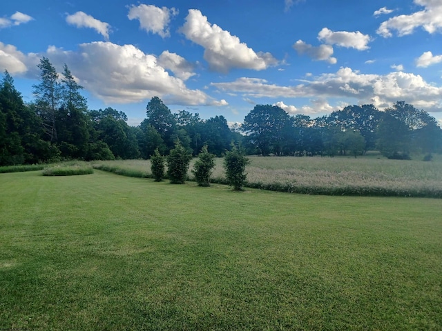 view of yard featuring a rural view