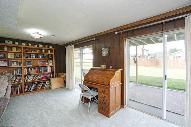 office space with wooden walls, a textured ceiling, and carpet flooring