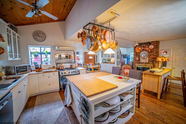 kitchen with appliances with stainless steel finishes, hardwood / wood-style flooring, a fireplace, white cabinetry, and ceiling fan