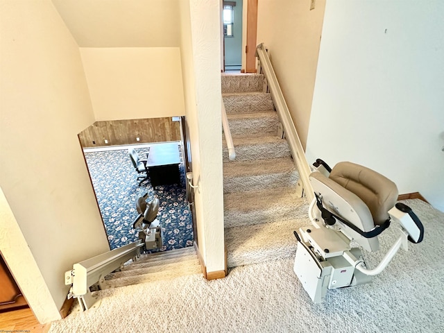 stairway featuring carpet floors