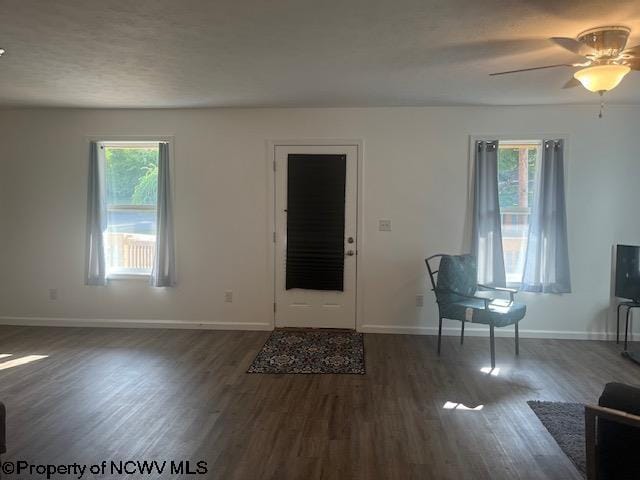 foyer with dark hardwood / wood-style flooring, ceiling fan, and a healthy amount of sunlight