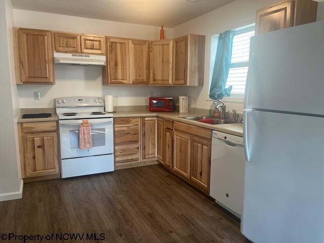 kitchen featuring white appliances, dark hardwood / wood-style floors, and sink