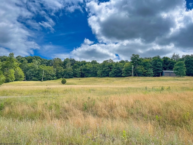 view of landscape with a rural view