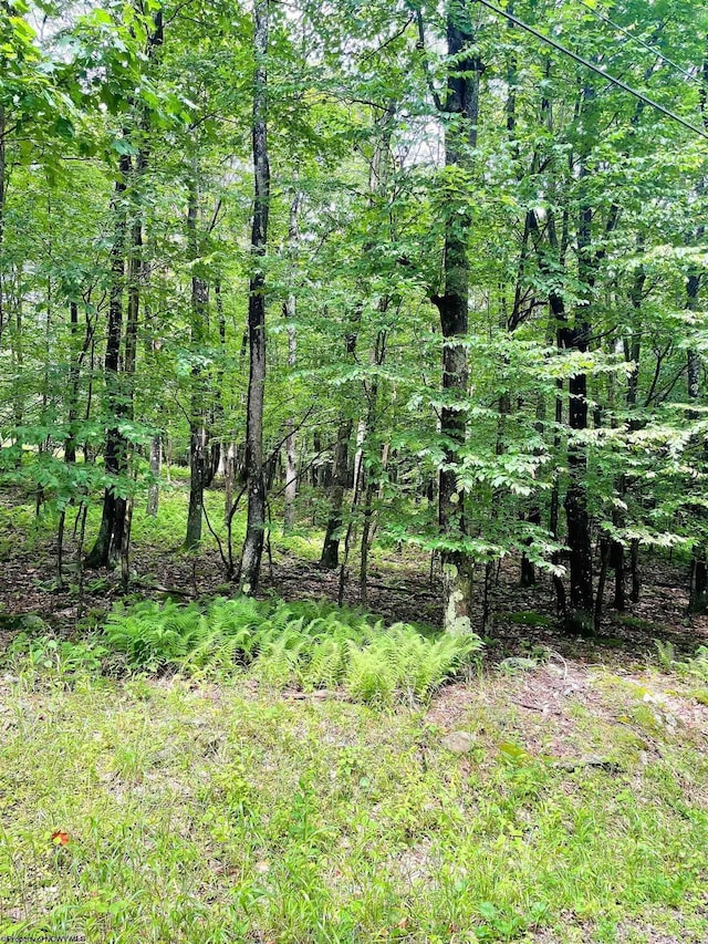 LOT120 Hemlock Cir, Terra Alta WV, 26764 land for sale