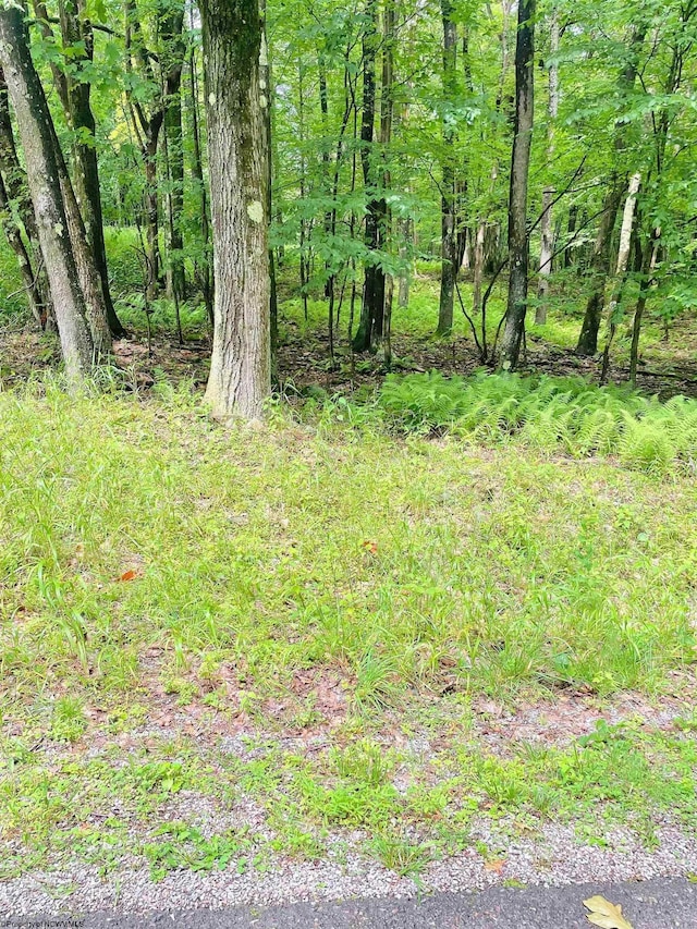 Listing photo 2 for LOT120 Hemlock Cir, Terra Alta WV 26764