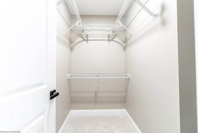 walk in closet with carpet