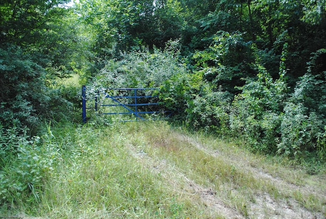 TBD River Rd, Belington WV, 26250 land for sale