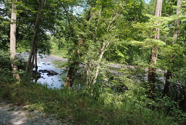 Listing photo 2 for TBD River Rd, Belington WV 26250