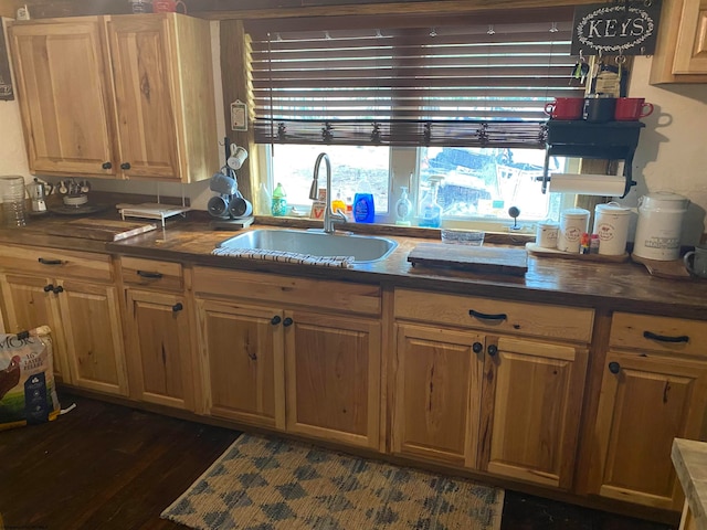 kitchen with dark hardwood / wood-style floors and sink