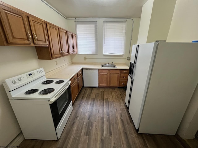 kitchen featuring sink, dark hardwood / wood-style floors, and white appliances