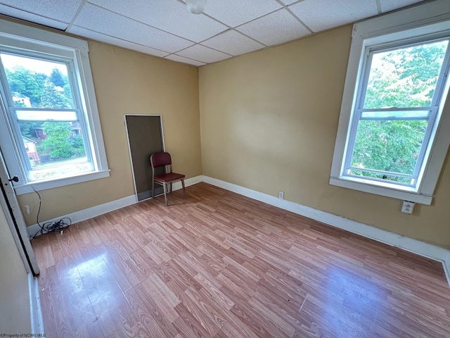 empty room featuring a wealth of natural light, light wood-type flooring, and a drop ceiling