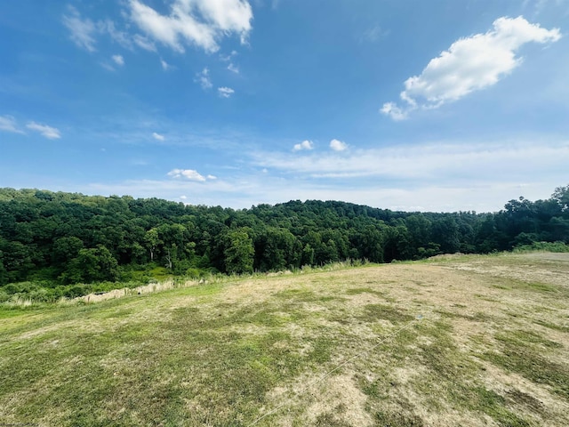 view of landscape featuring a rural view