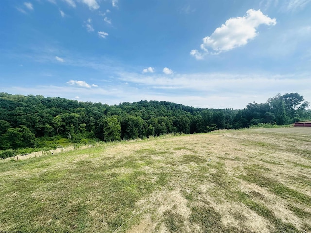 view of nature featuring a rural view