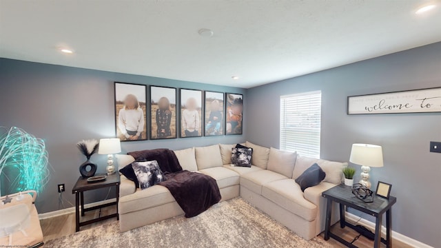 living room with hardwood / wood-style flooring