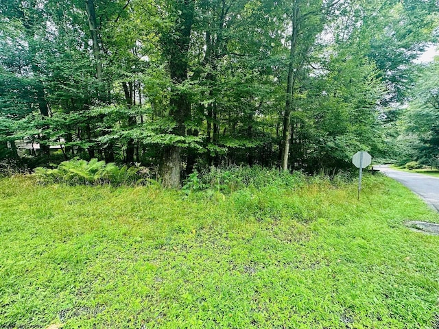 142 Dogwood Ln, Terra Alta WV, 26764 land for sale