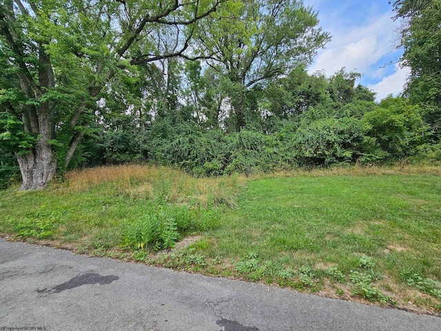 113 W Knotts Ave, Grafton, WV 26354