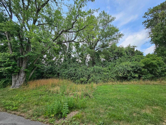113 W Knotts Ave, Grafton, WV 26354