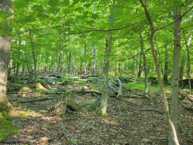 LOT195 Columbine Cir, Terra Alta WV, 26764 land for sale