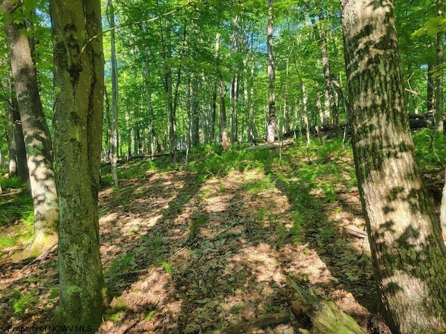 Listing photo 2 for LOT195 Columbine Cir, Terra Alta WV 26764