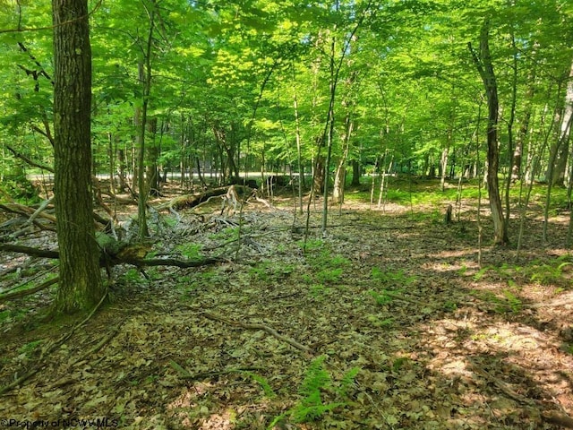 Listing photo 3 for LOT195 Columbine Cir, Terra Alta WV 26764