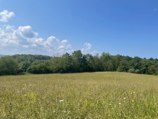 TBD Morgantown Pike, Philippi WV, 26416 land for sale