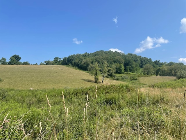 Listing photo 3 for TBD Morgantown Pike, Philippi WV 26416