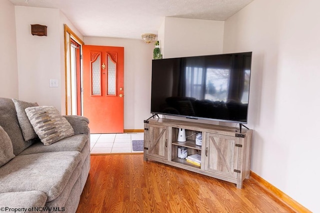 living room featuring light hardwood / wood-style floors