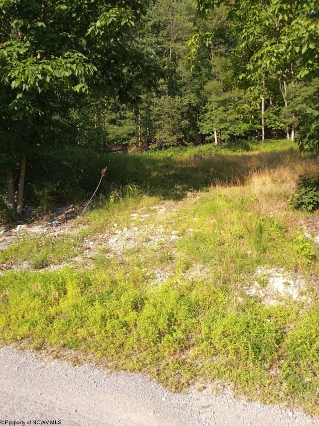 1024 Mount Lebanon Rd, Buckhannon WV, 26201 land for sale