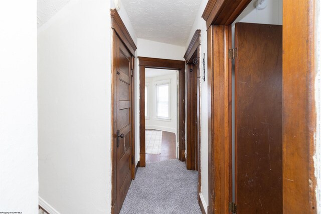 empty room featuring hardwood / wood-style floors