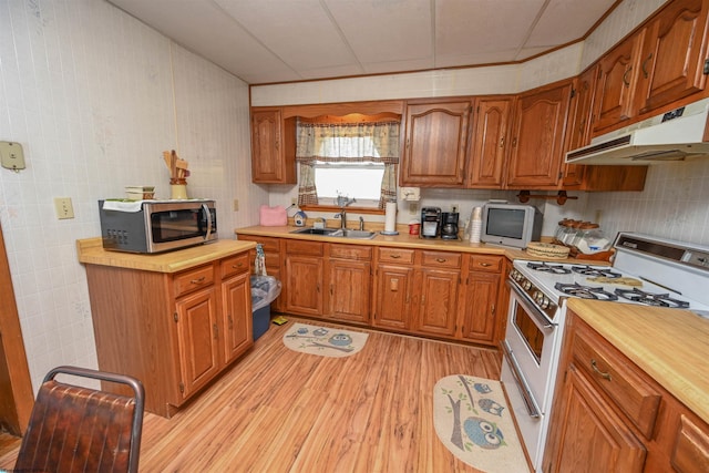 kitchen featuring double oven range, sink, and light hardwood / wood-style flooring