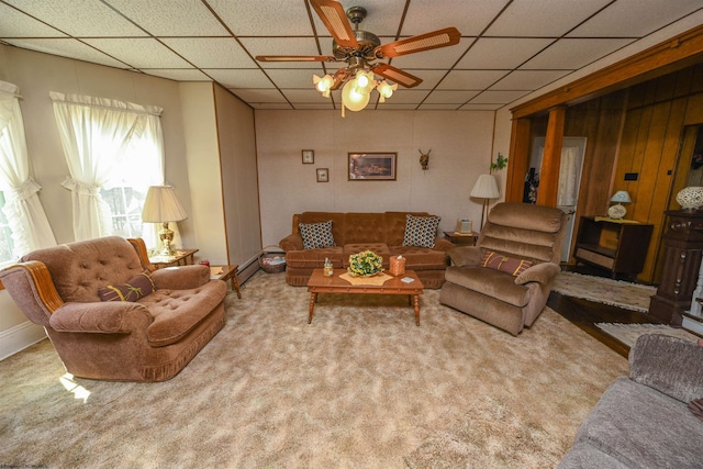 carpeted living room featuring a drop ceiling, ceiling fan, and plenty of natural light