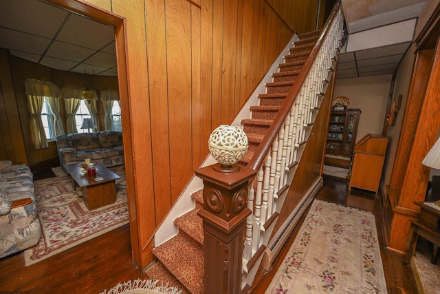 stairs featuring dark hardwood / wood-style floors, wooden walls, and a drop ceiling