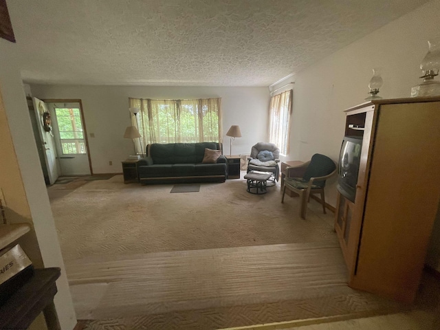 living area featuring light carpet and a textured ceiling