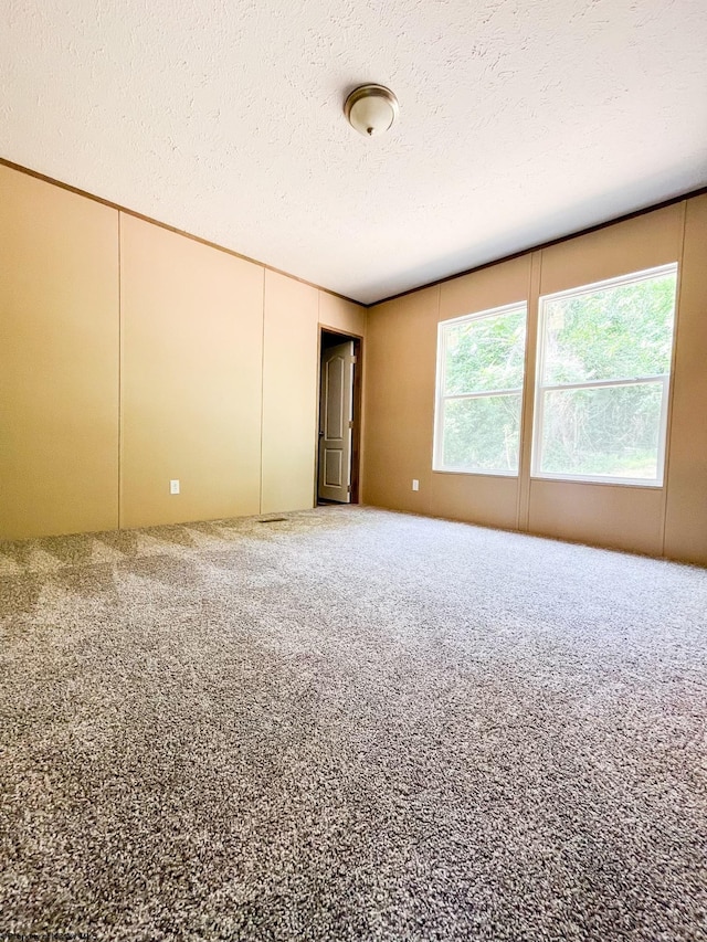 unfurnished room with carpet floors and a textured ceiling