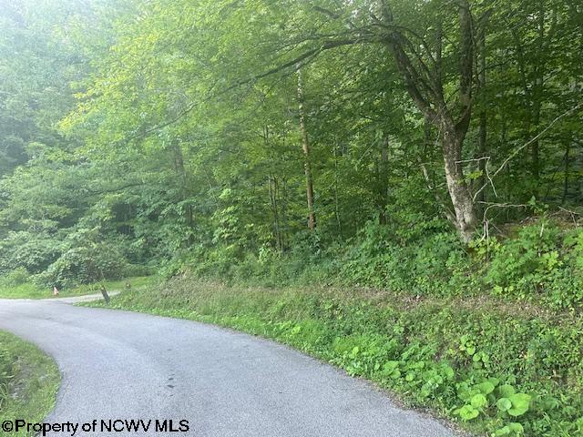 TBD Creed Isner Road, Kerens WV, 26276 land for sale