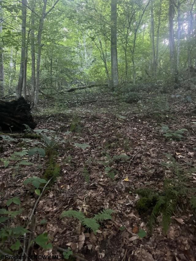 TBD Creed Isner Road, Kerens, WV 26276